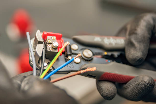 Best Affordable Electrician  in Old Fig Garden, CA