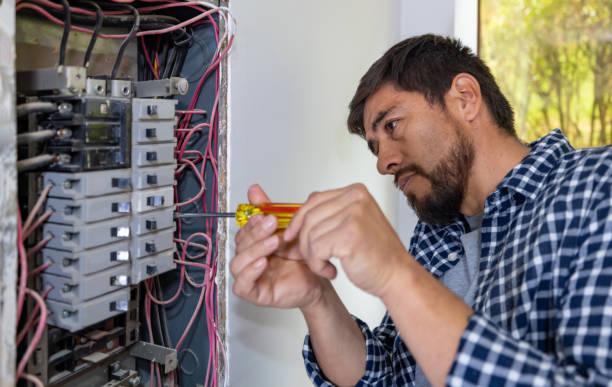 Best Electrician for Home Renovation  in Old Fig Garden, CA